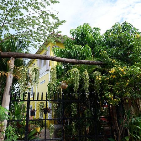 Homestay Yellow Natural House 暹粒 外观 照片