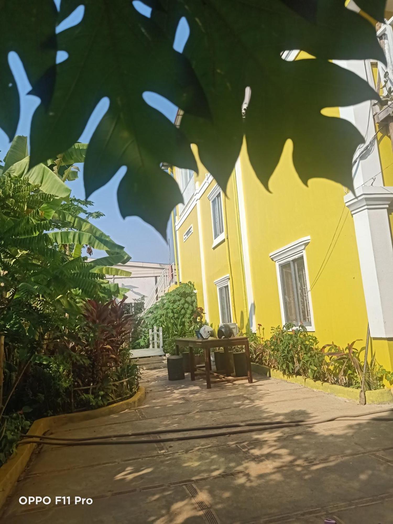Homestay Yellow Natural House 暹粒 外观 照片