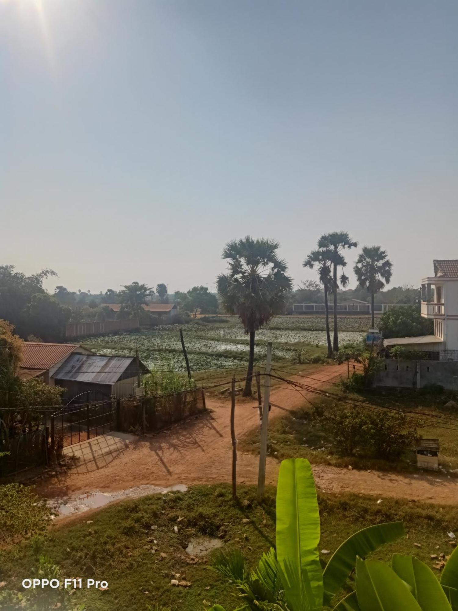 Homestay Yellow Natural House 暹粒 外观 照片