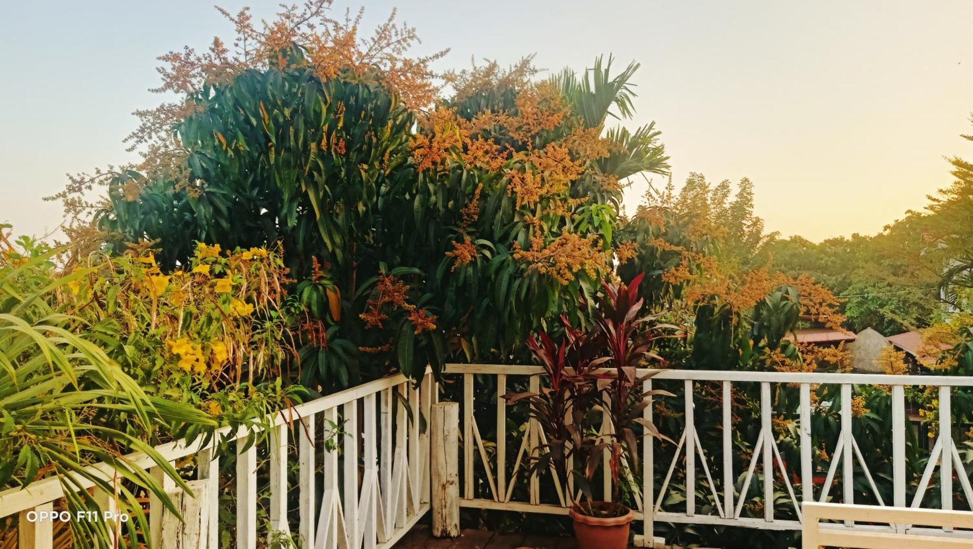 Homestay Yellow Natural House 暹粒 外观 照片